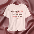 You Can’t Stop a Soul That’s Found Its Way Home Tee